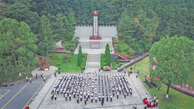 p19_b.jpg