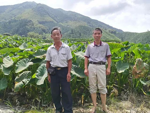 产业扶贫.jpg