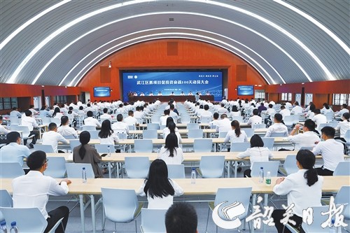 p8_b.jpg