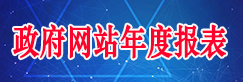 政府网站年度报表
