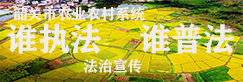 普法专栏