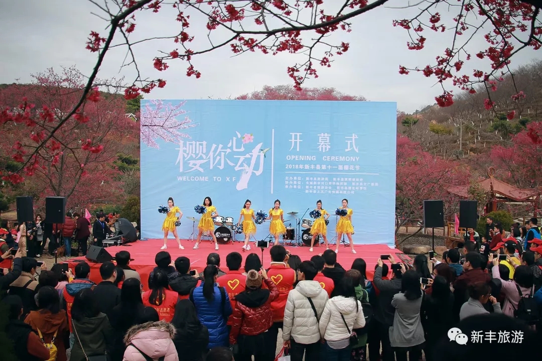 哈尔滨举办樱花节图片